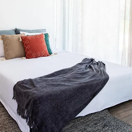 Pebble Gargen Aloe - Pampas Grass Apartment *